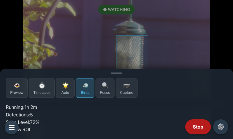 Bird Watcher UI